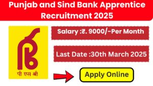 Punjab and Sind Bank Apprentice Recruitment 2025